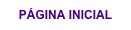 PÁGINA INICIAL